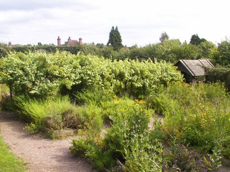 Stafford Castle Medieval Herb Garden