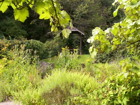 Stafford Castle Medieval Herb Garden